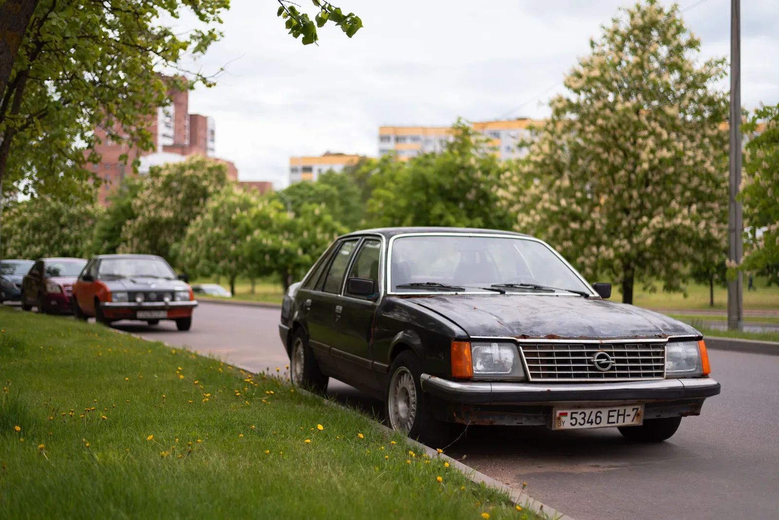 Classic Opel car parked on a suburban street lined with blossoming trees, exuding a nostalgic charm.