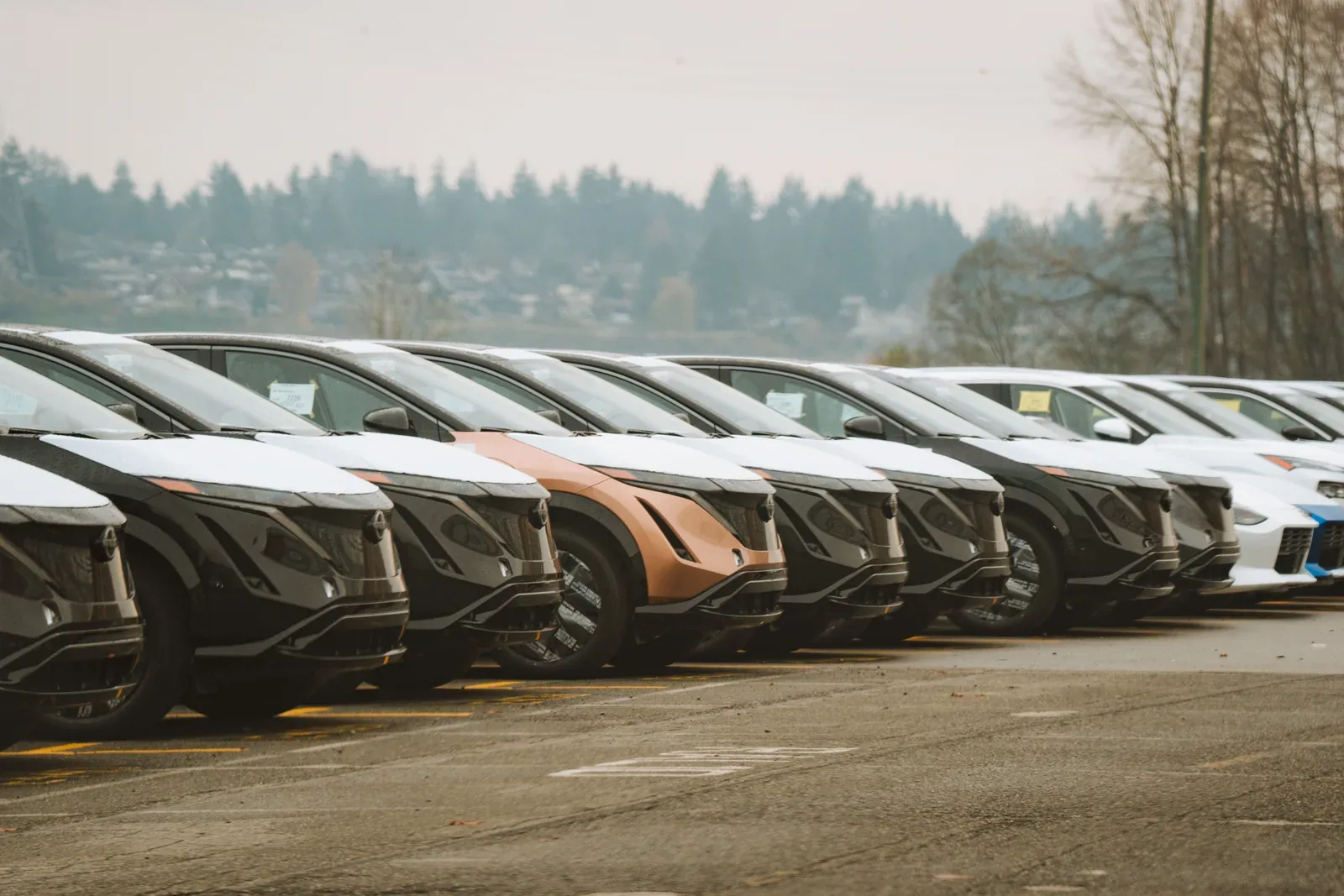 El coche chino ya está cambiando Europa: qué significa para el comprador de segunda mano