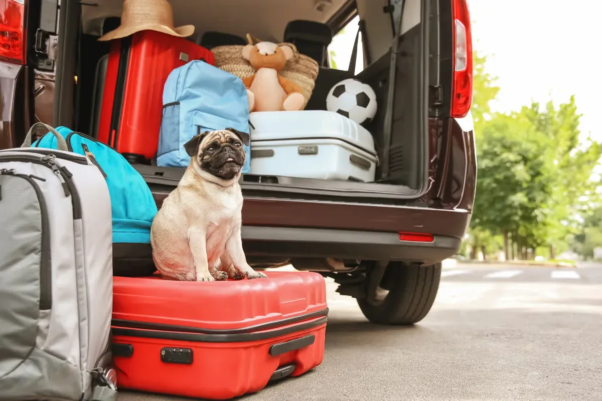 Revisión de coche antes de vacaciones guía completa para viajar seguro